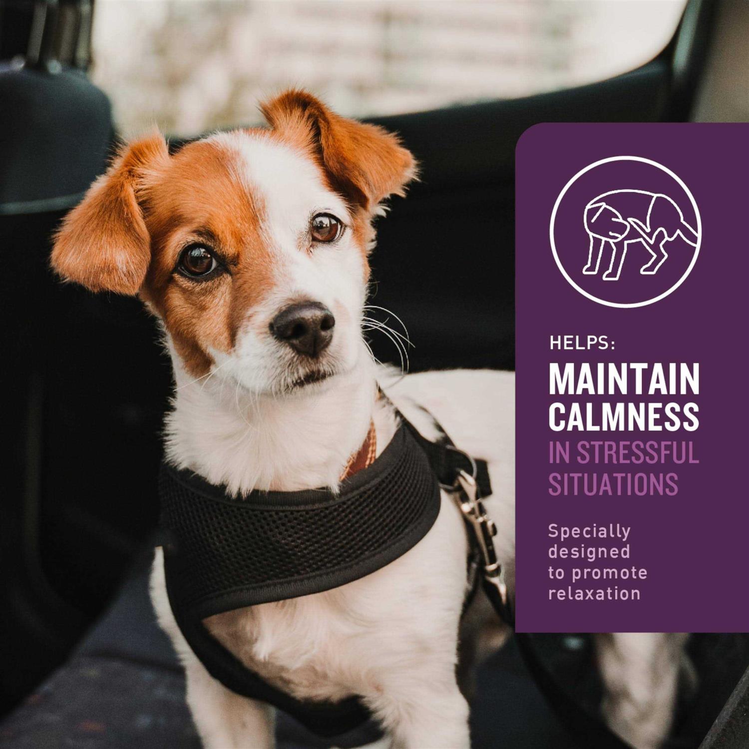 VetIQ Calming Soft Chews