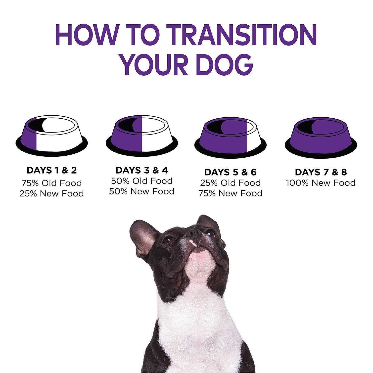 Wellness Complete Health Chicken Senior Dry Dog Food