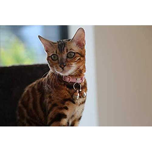 Beau’s Bells 2 Extra Loud Cat & Dog Bells