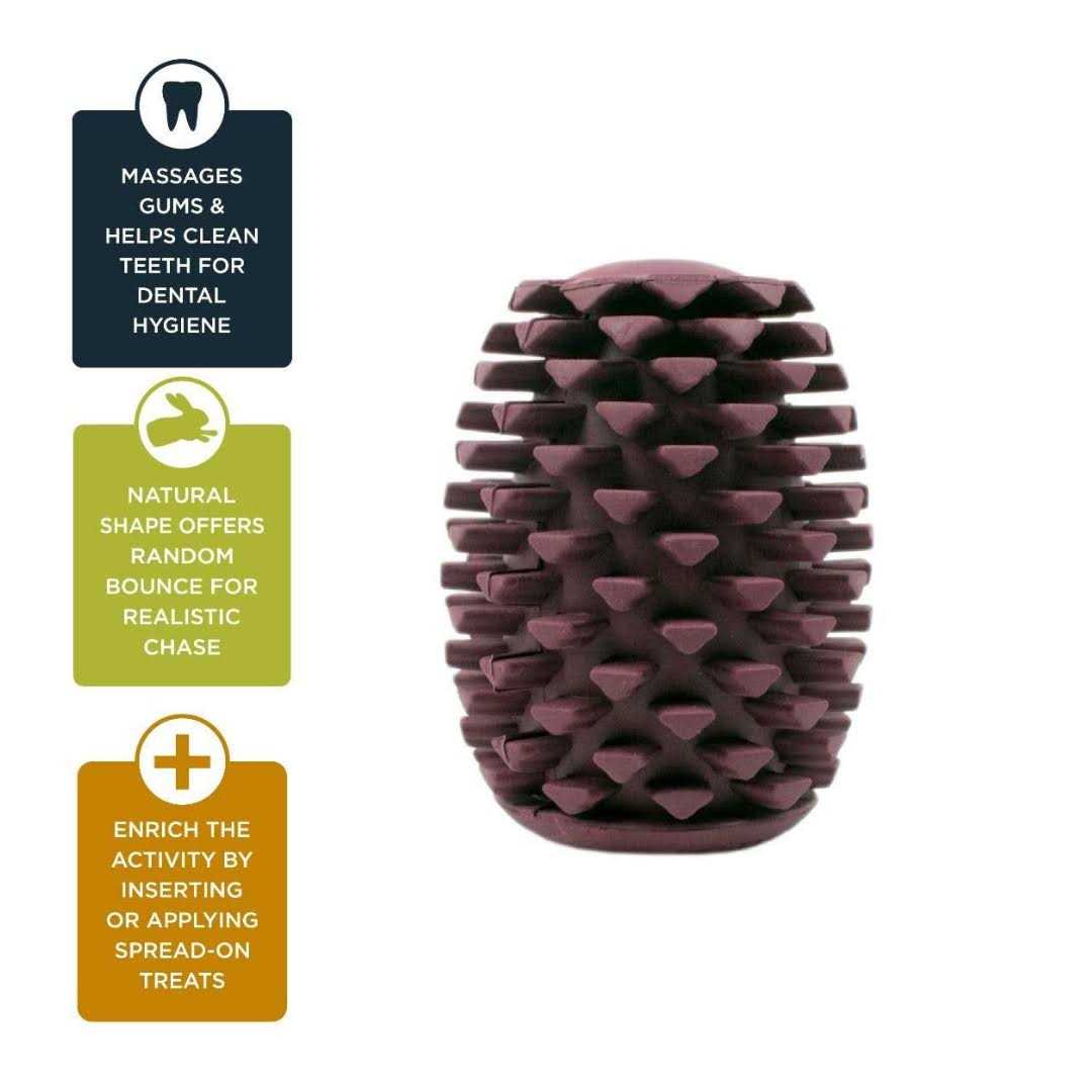 Tall Tails Dog Toy Natural Rubber Pinecone
