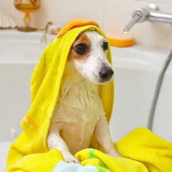 Vet’s Best Waterless Dog Bath