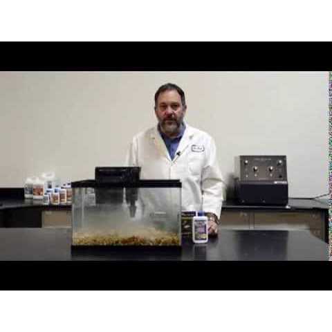 Dr Tim’s Aquatics Ammonium Chloride for Fishless Cycling