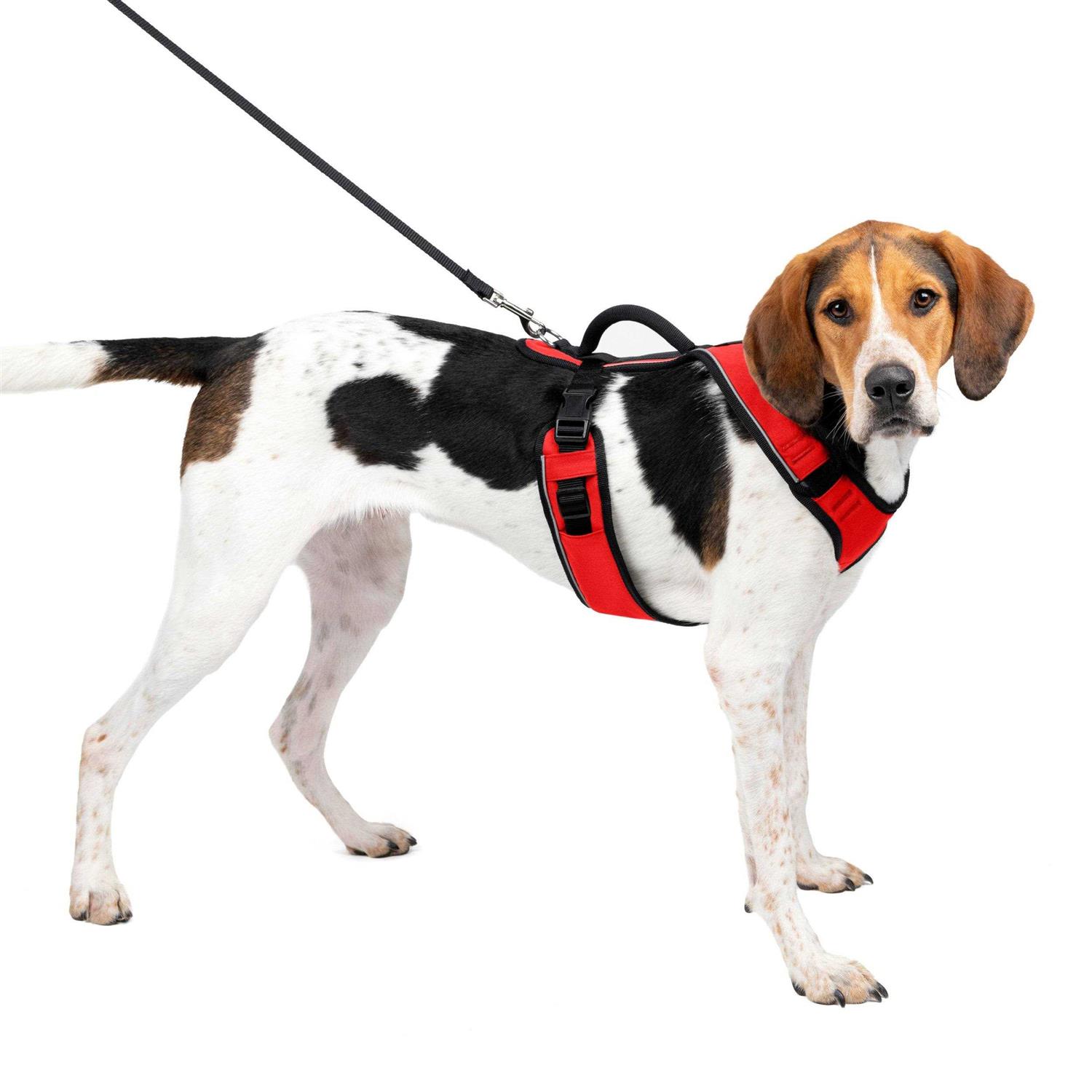 PetSafe EasySport Dog Harness