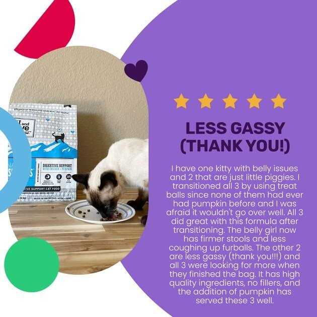 I and Love and You Naked Essentials Digestive Support Chicken & Pumpkin Dry Cat Food