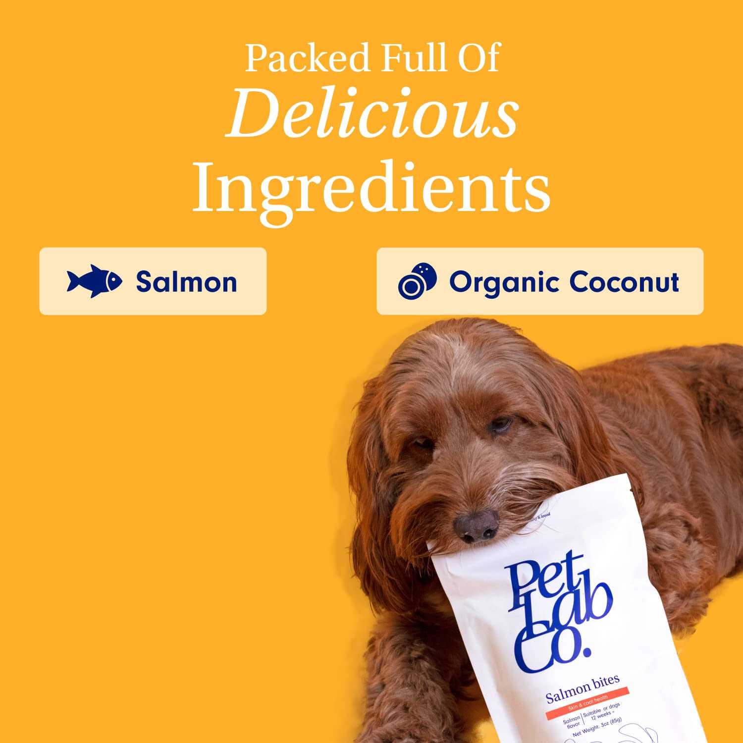 Petlab Co. Salmon Bites Dog Treats