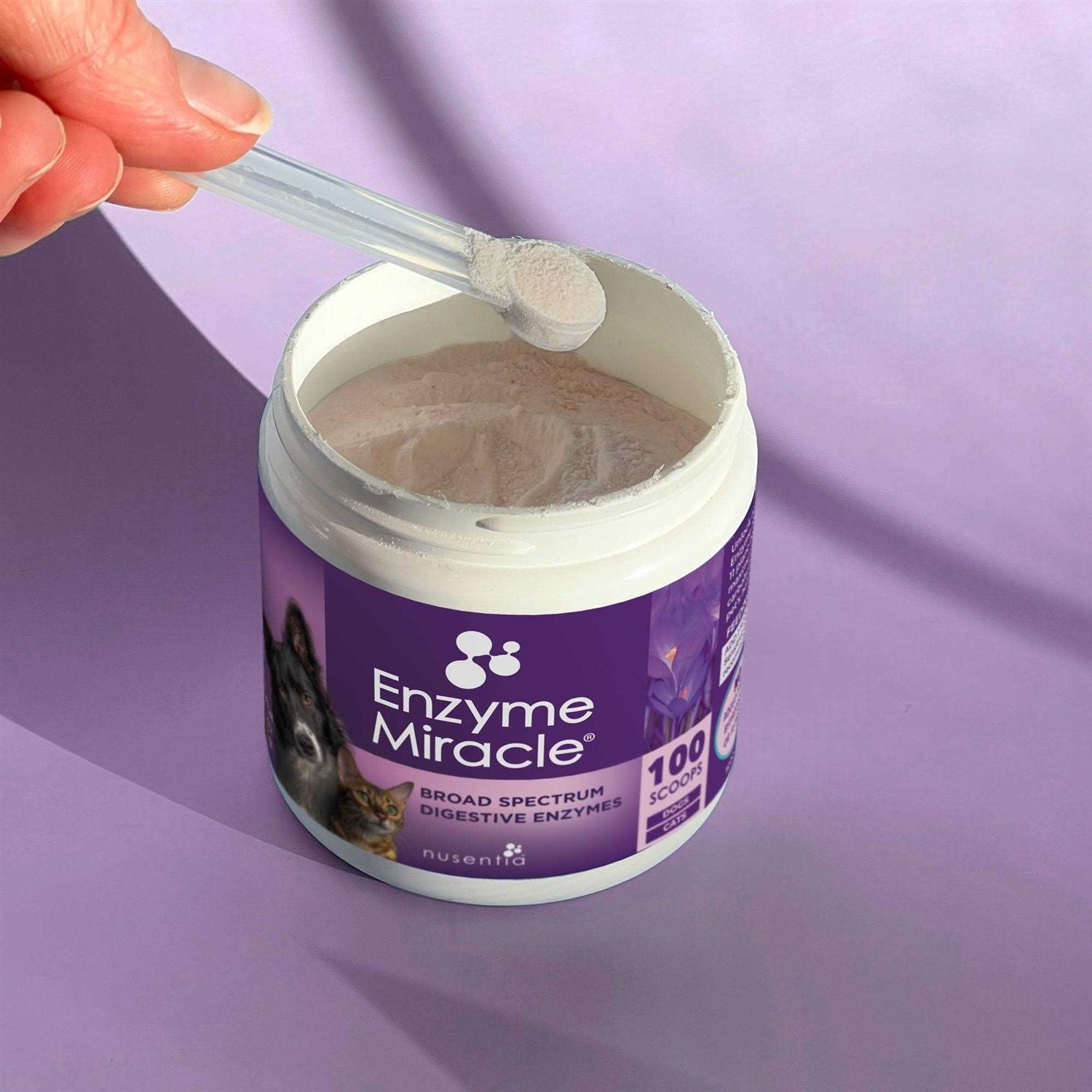 Enzyme Miracle Digestive