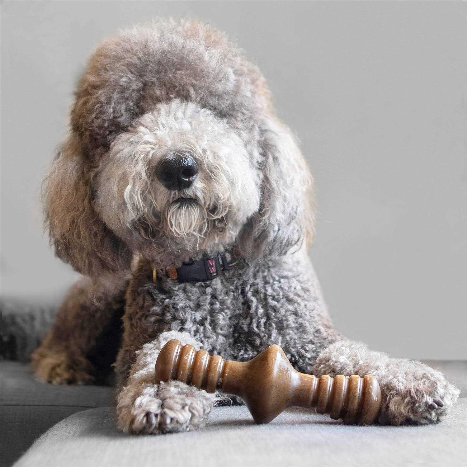 Benebone Chicken Zaggler Dog Chew Toy