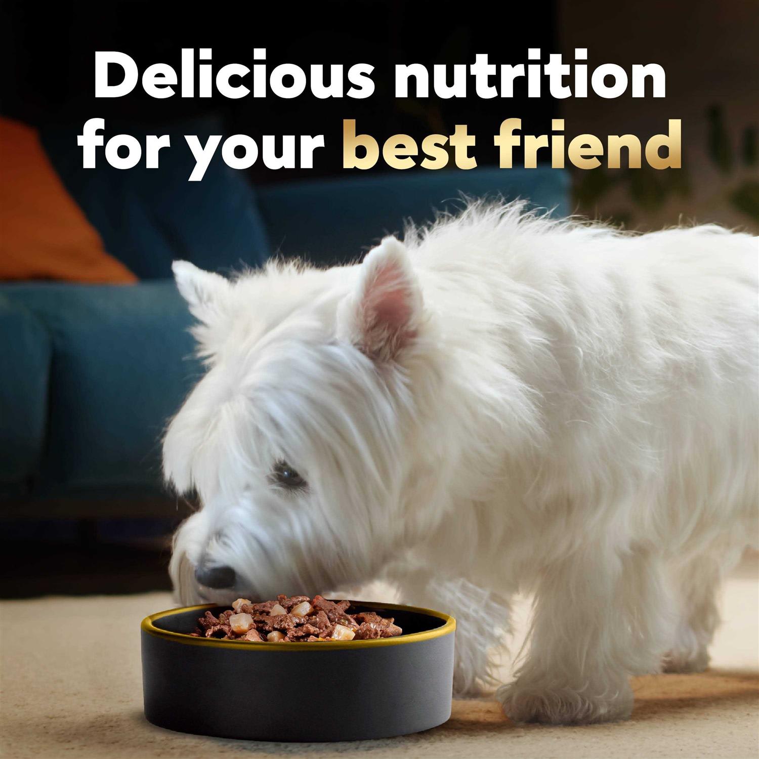 Cesar Home Delights Vegetables Dog Food