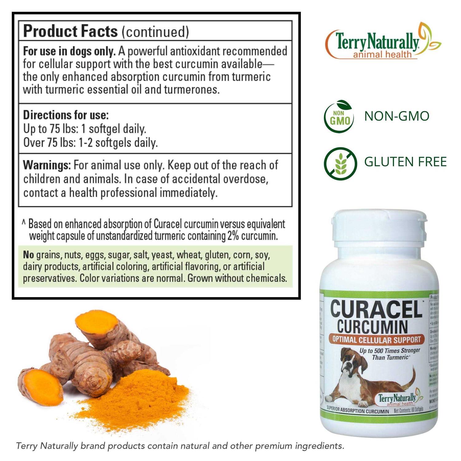 Terry Naturally Curacel Curcumin
