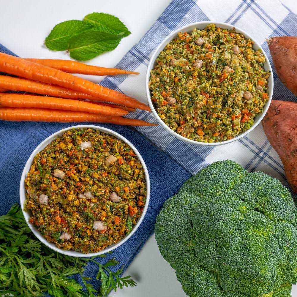 Dr. Harvey’s Specialty Diet Allergy Salmon Recipe, Human Grade Dog Food for Dogs with Sensitivities and Allergies