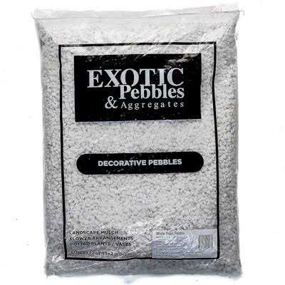 Exotic Pebbles Bean Pebbles