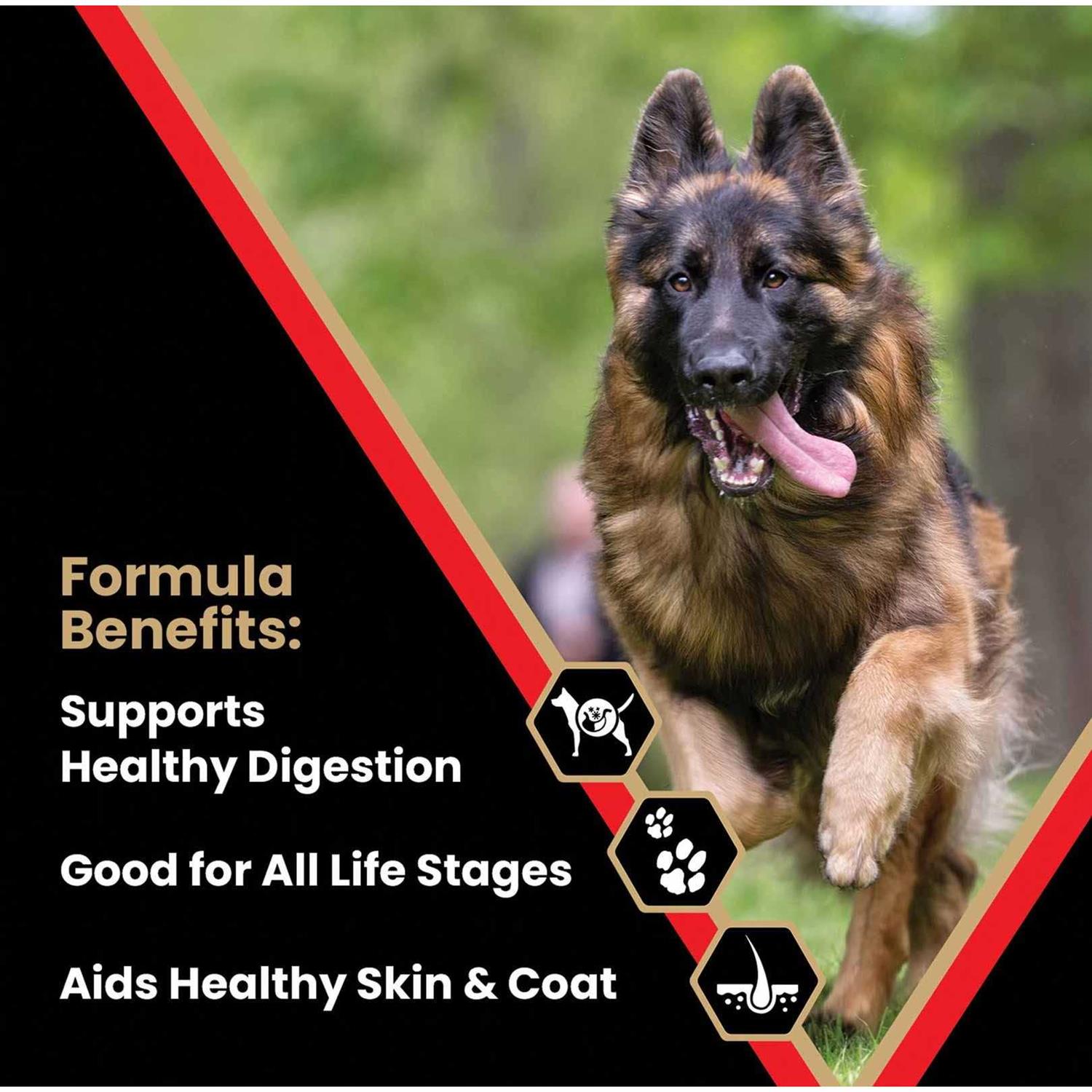 Victor High Energy Dry Dog Food