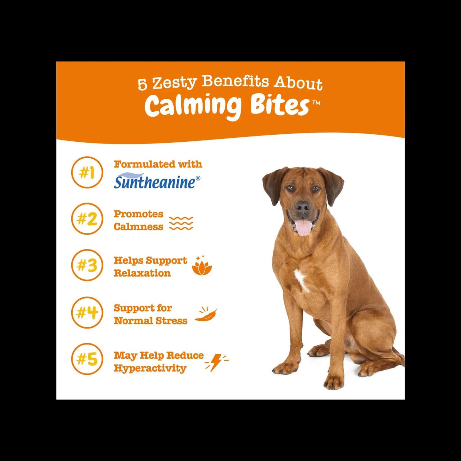 Zesty Paws Calming Bites Soft Chews for Dogs
