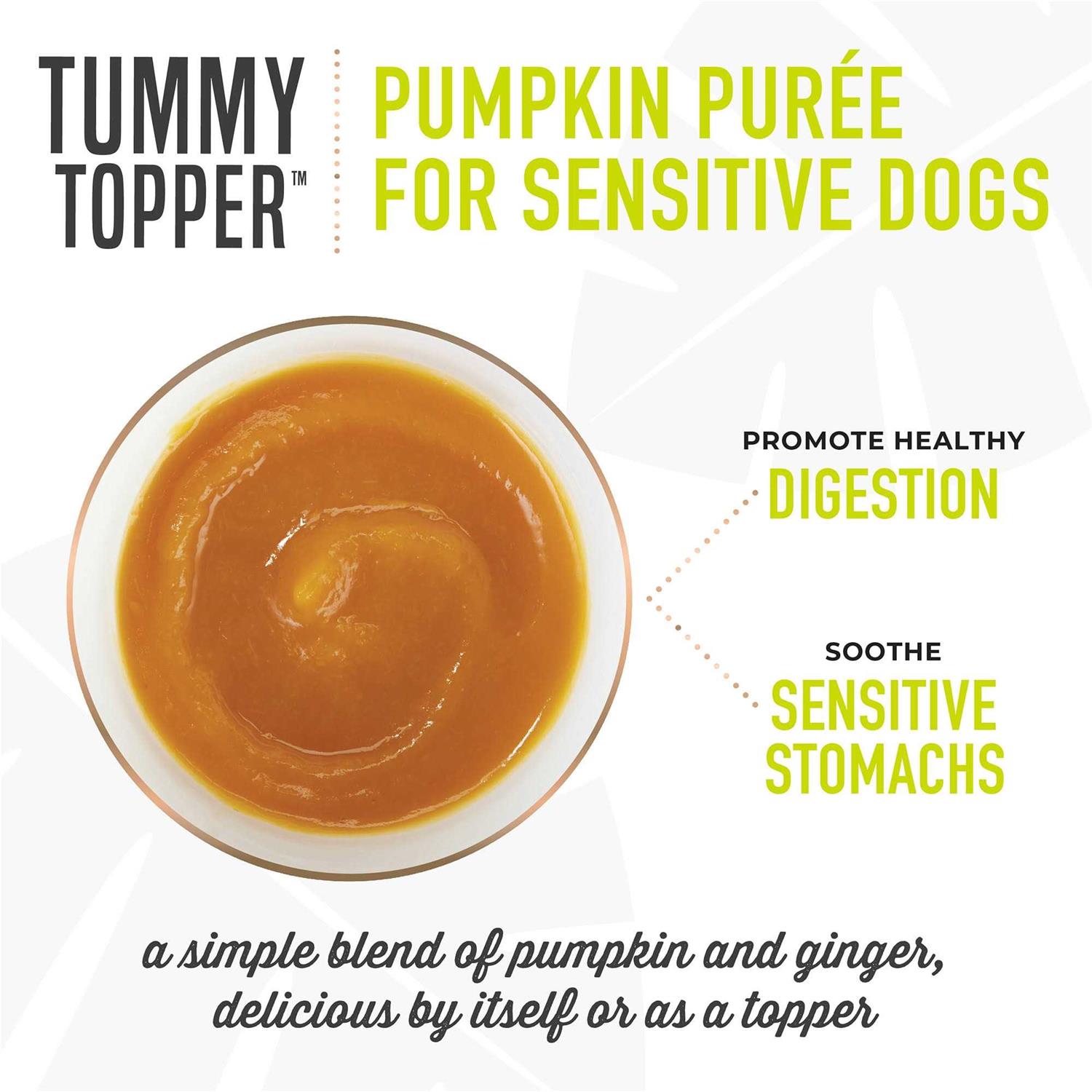Tiki Dog Tummy Topper Pumpkin Ginger