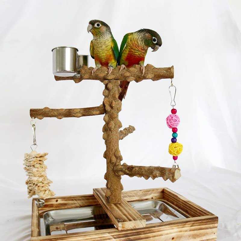 Bird Perch Platform Stand,Wood Perch Bird Platform Parrot Stand Playground Cage Accessories for Small Anminals Rat Hamster Gerbil Rat Mouse Lovebird