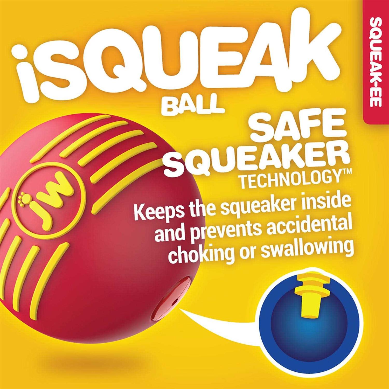 JW Pet iSqueak Ball Dog Toy