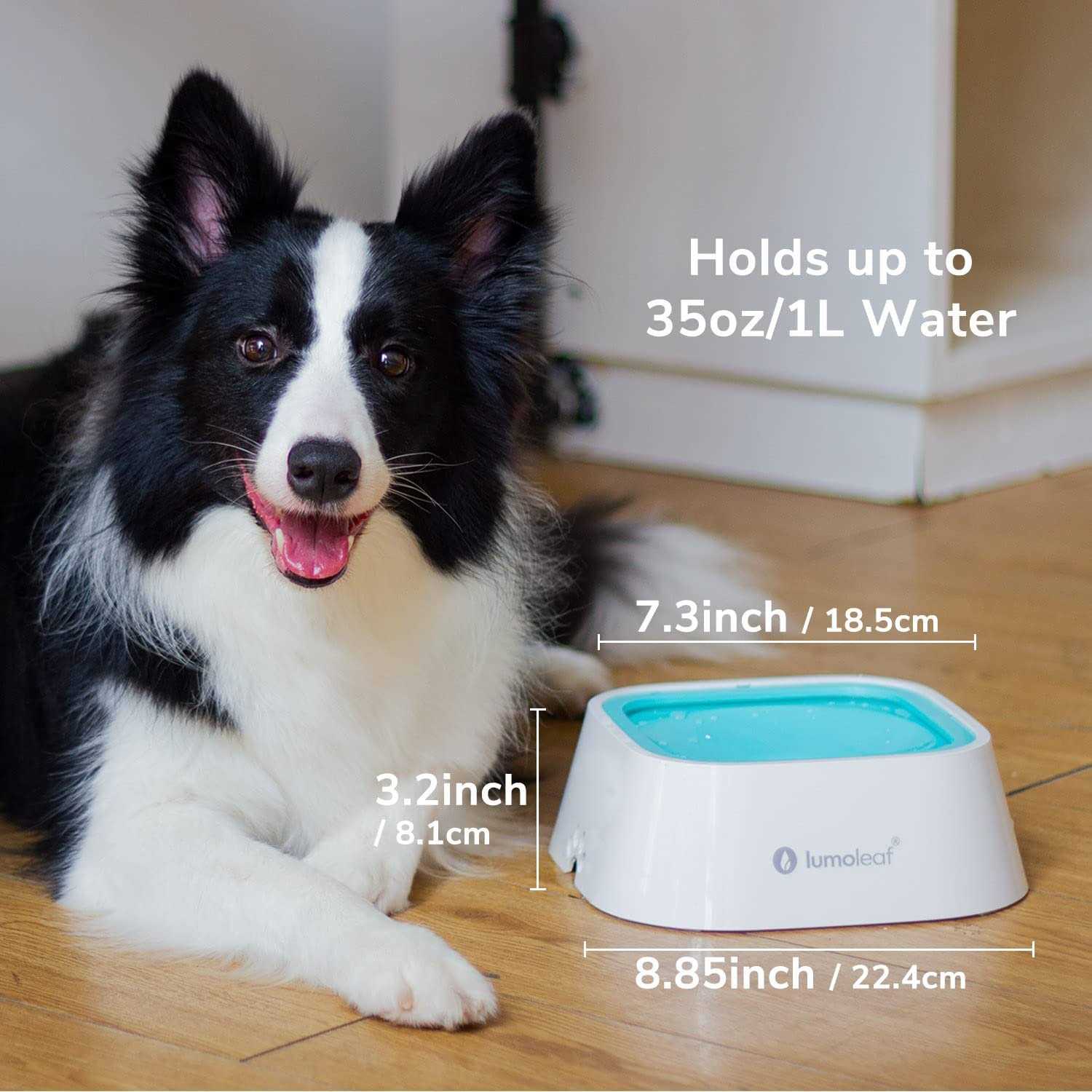 LumoLeaf Dog Water Bowl Pet Slow Water Feeder Bowl No Spill Dog Bowl