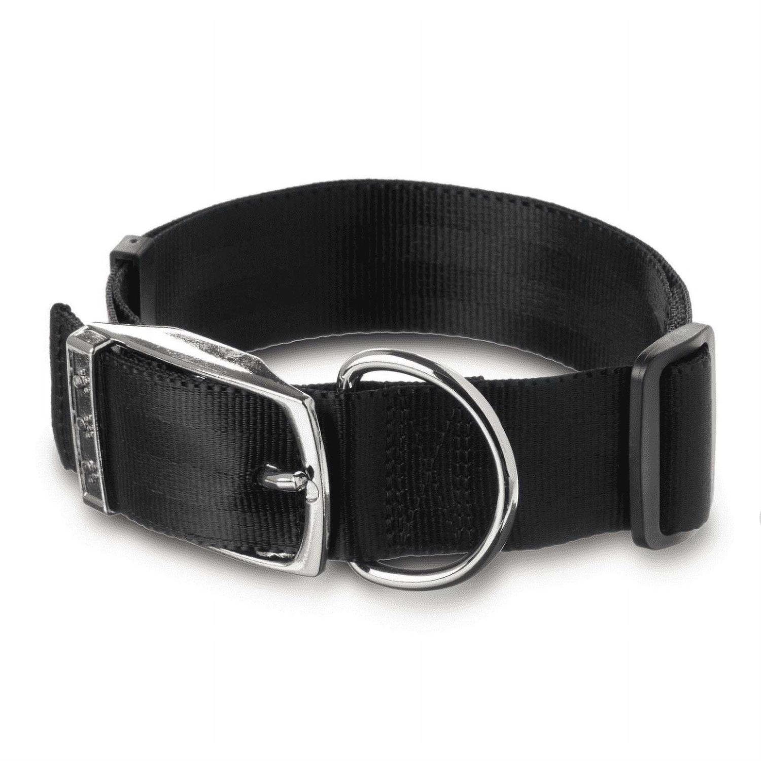 Vibrant Life Solid Dog Collar with Metal Buckle