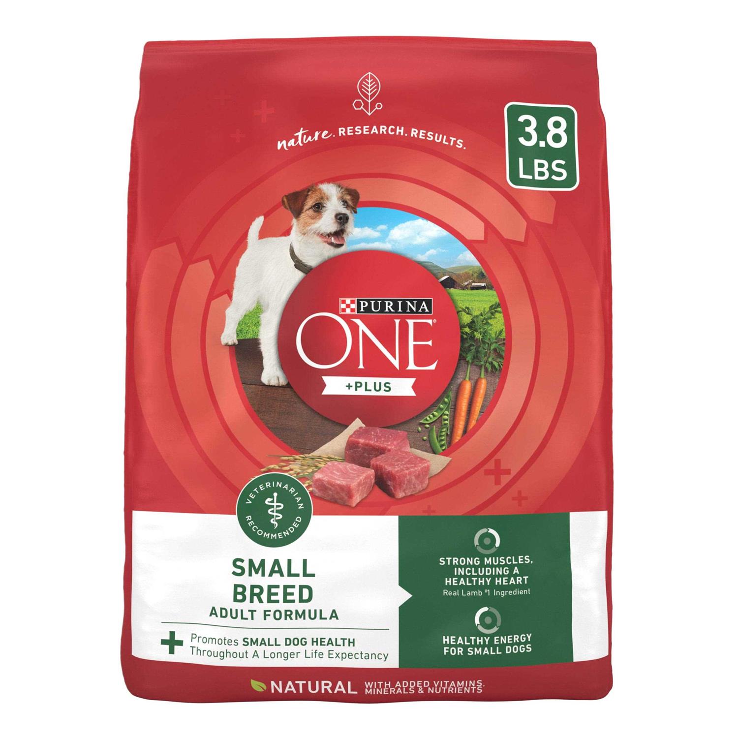 Purina ONE Plus Lamb & Rice Formula Small Breed Dry Dog Food