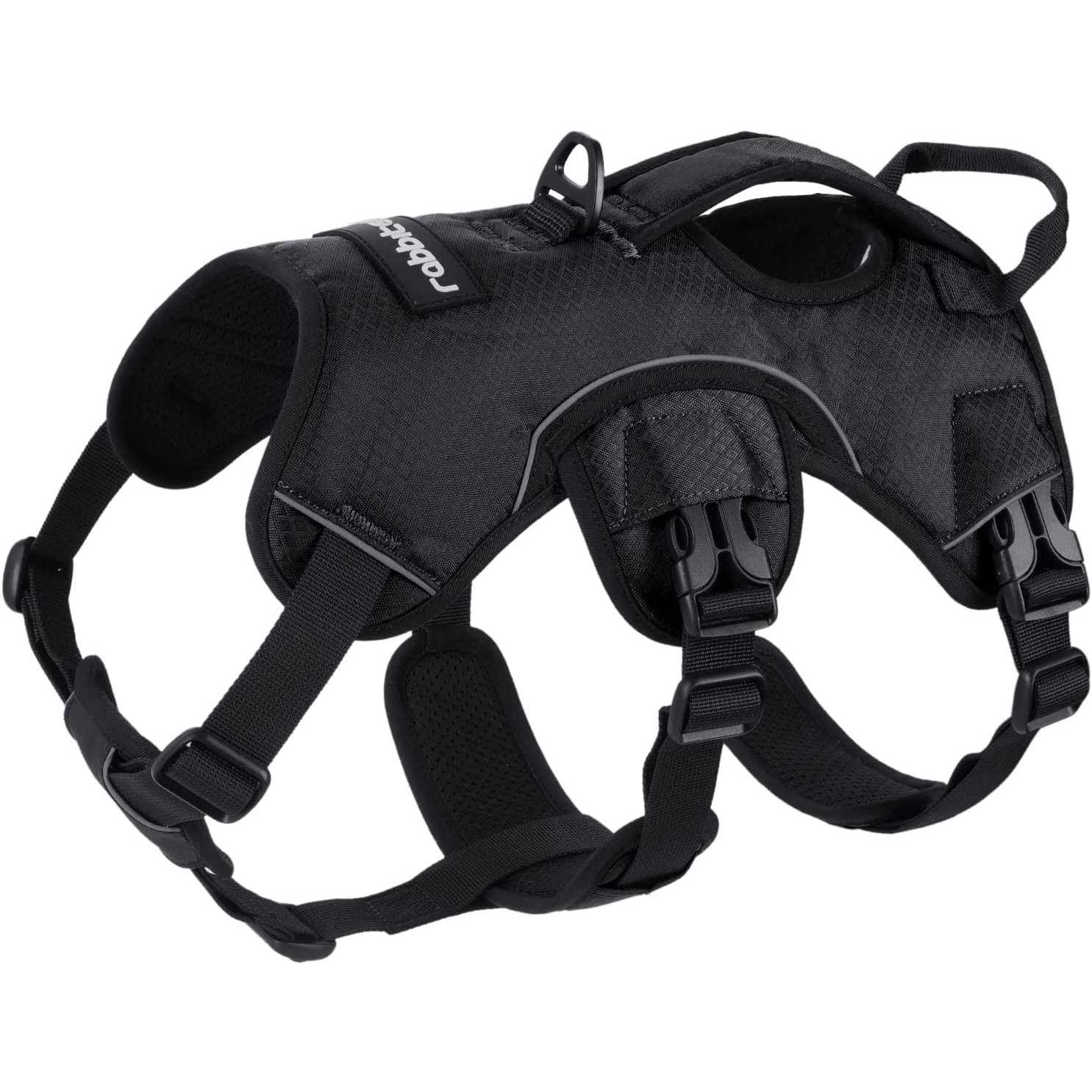 rabbitgoo Dog Harness No Pull Pet Harness with 2 Leash Clips Adjustable Soft Padded Dog Vest