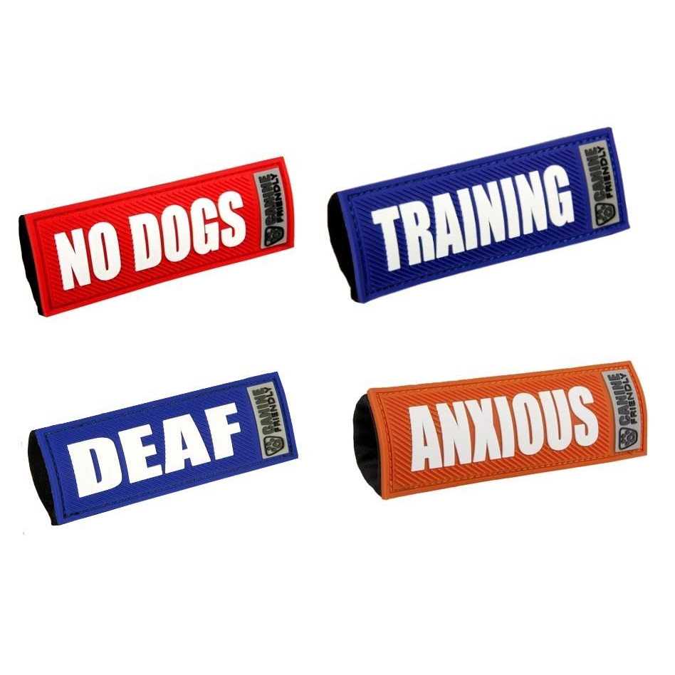 Bark Notes Dog Collar and Leash