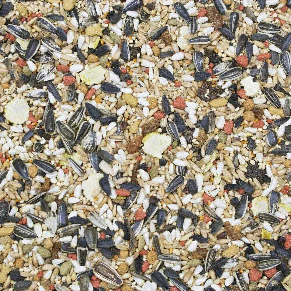 Higgins Sunburst Gourmet Guinea Pig Food