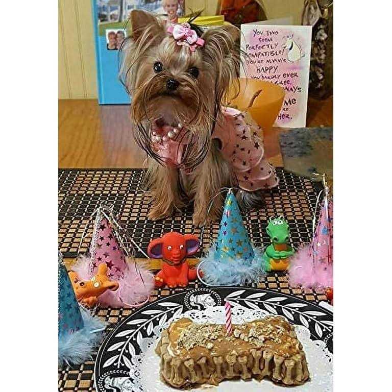 Petcakes Birthday Cake Kit For Dogs
