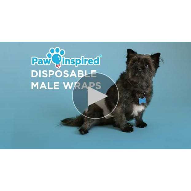 Paw Inspired Ultra Protection Disposable Belly Band Male Dog Wraps