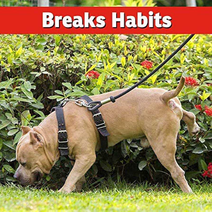 I Must Garden Dog and Cat Repellent All Natural Spray to Stop Chewing and Repel from Yards, Plants, and Gardens