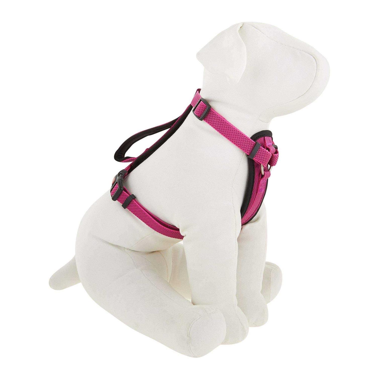Kong Comfort Padded Chest Plate Dog Harness