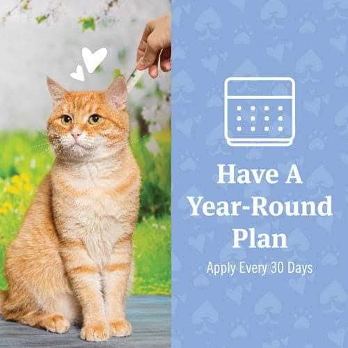 PetArmor Plus Flea and Tick Treatment for Cats