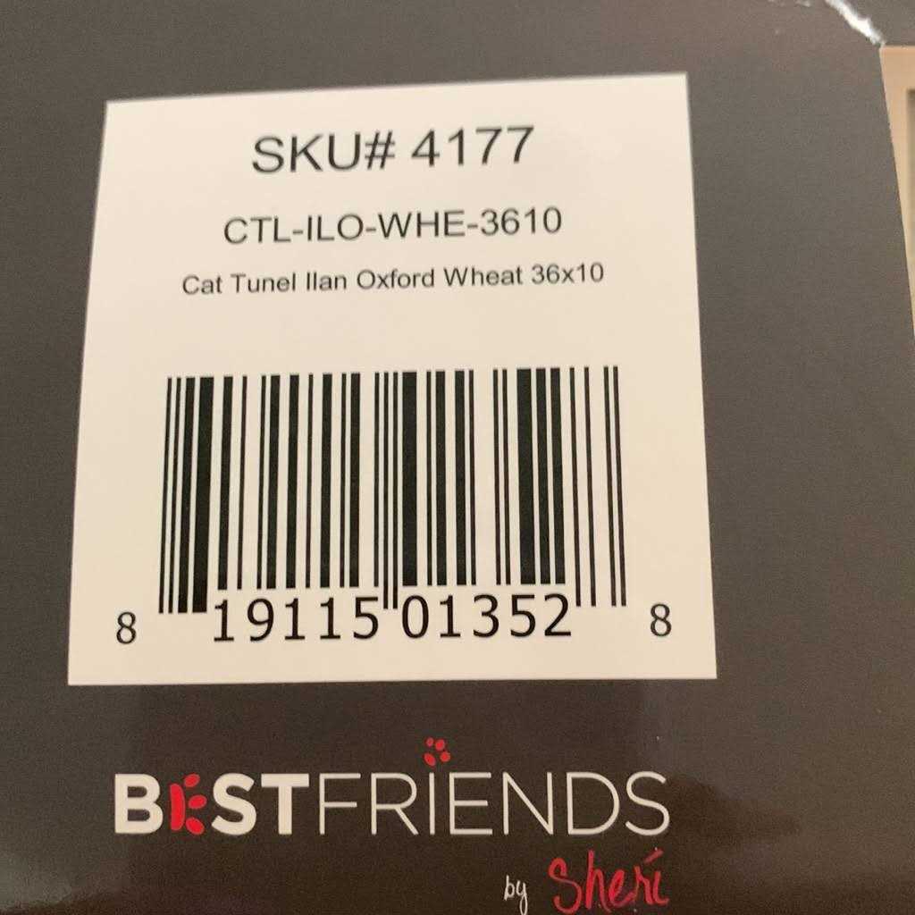 Best Friends by Sheri Ilan Oxford Cat Tunnel