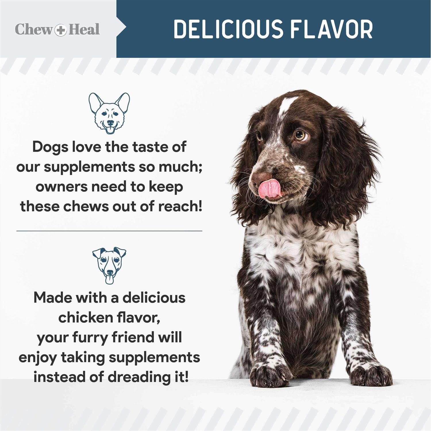 Chew + Heal Digestive Enzymes & Probiotics Supplement for Dogs