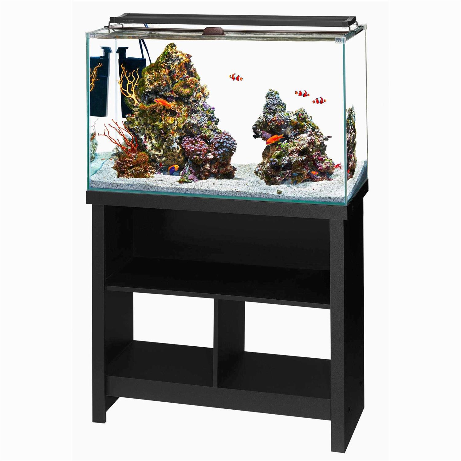 Aqueon Frameless Cube Aquarium