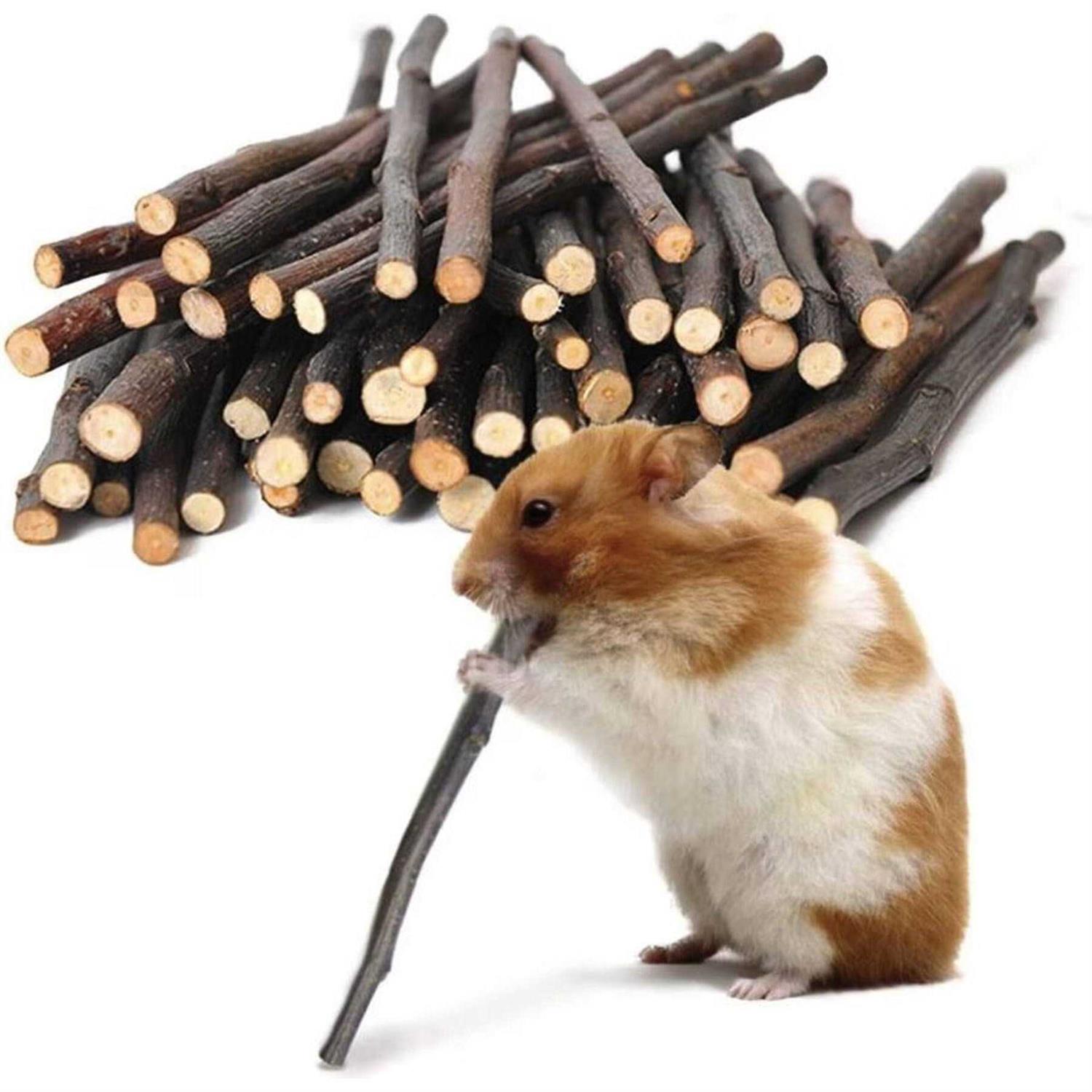 SunGrow Apple Sticks 200g Wood Chew Sticks for Rabbits Chinchillas