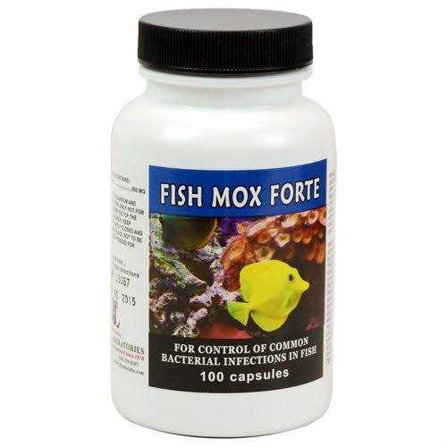 Thomas Labs Fish Flex Forte 500 mg. 100 Capsules