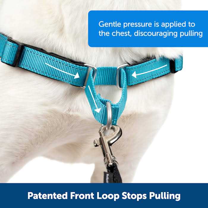 PETSAFE Easy Walk Harness