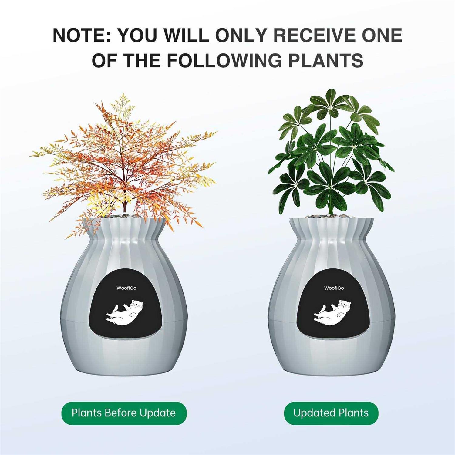 Plant Litter Box Smart Odor Removal Hidden Litter Box