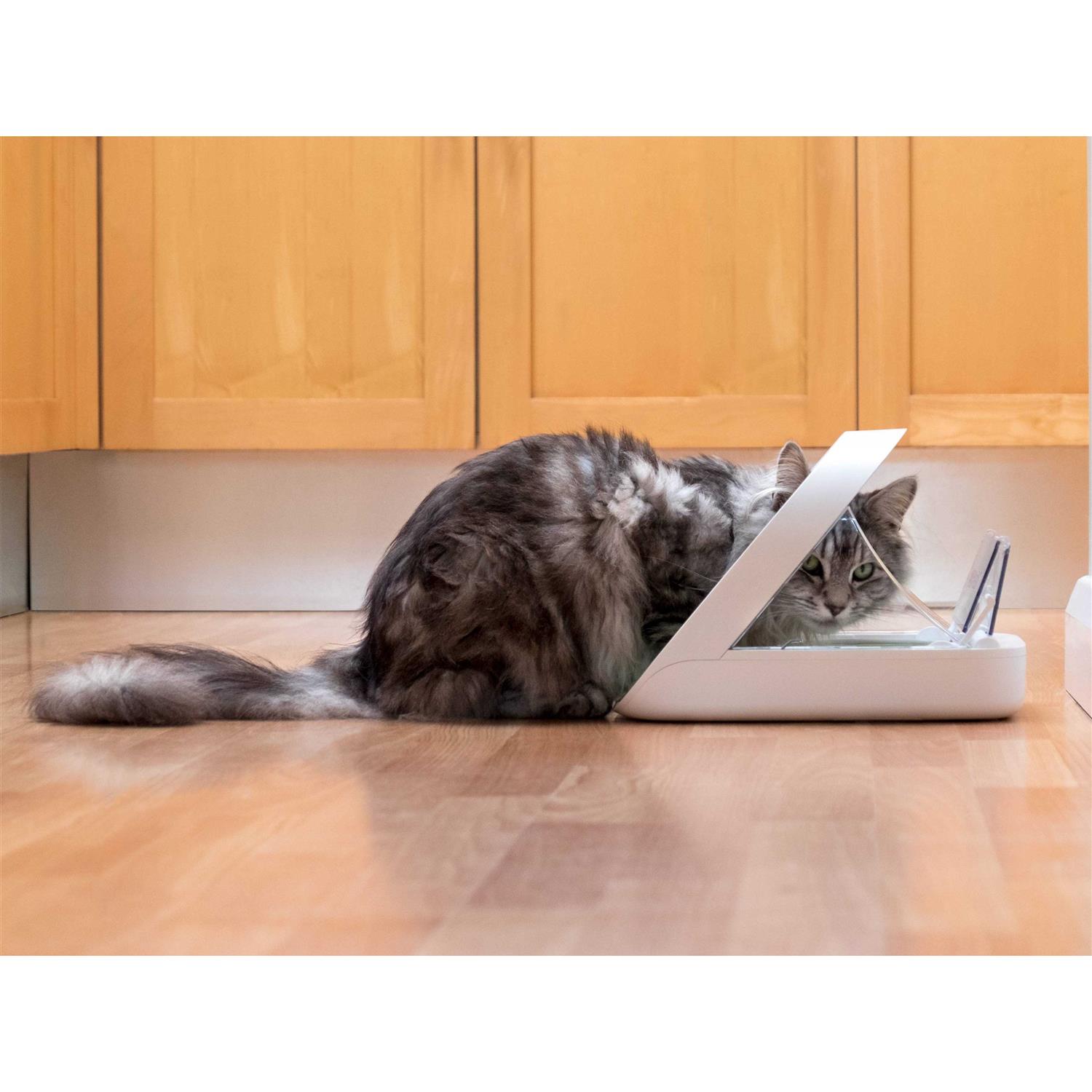 SureFlap SureFeed Microchip Pet Feeder