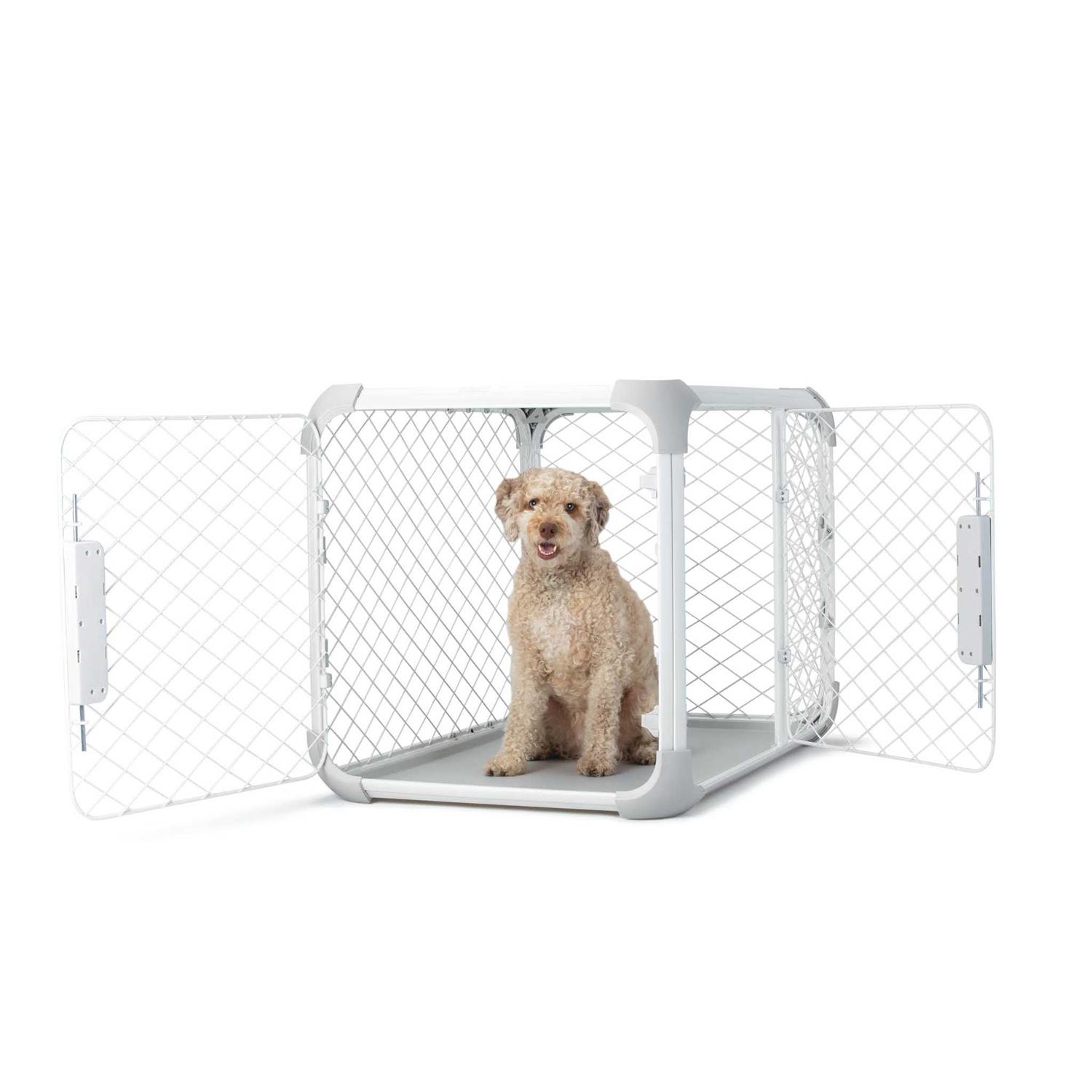 Diggs Evolv Dog Crate