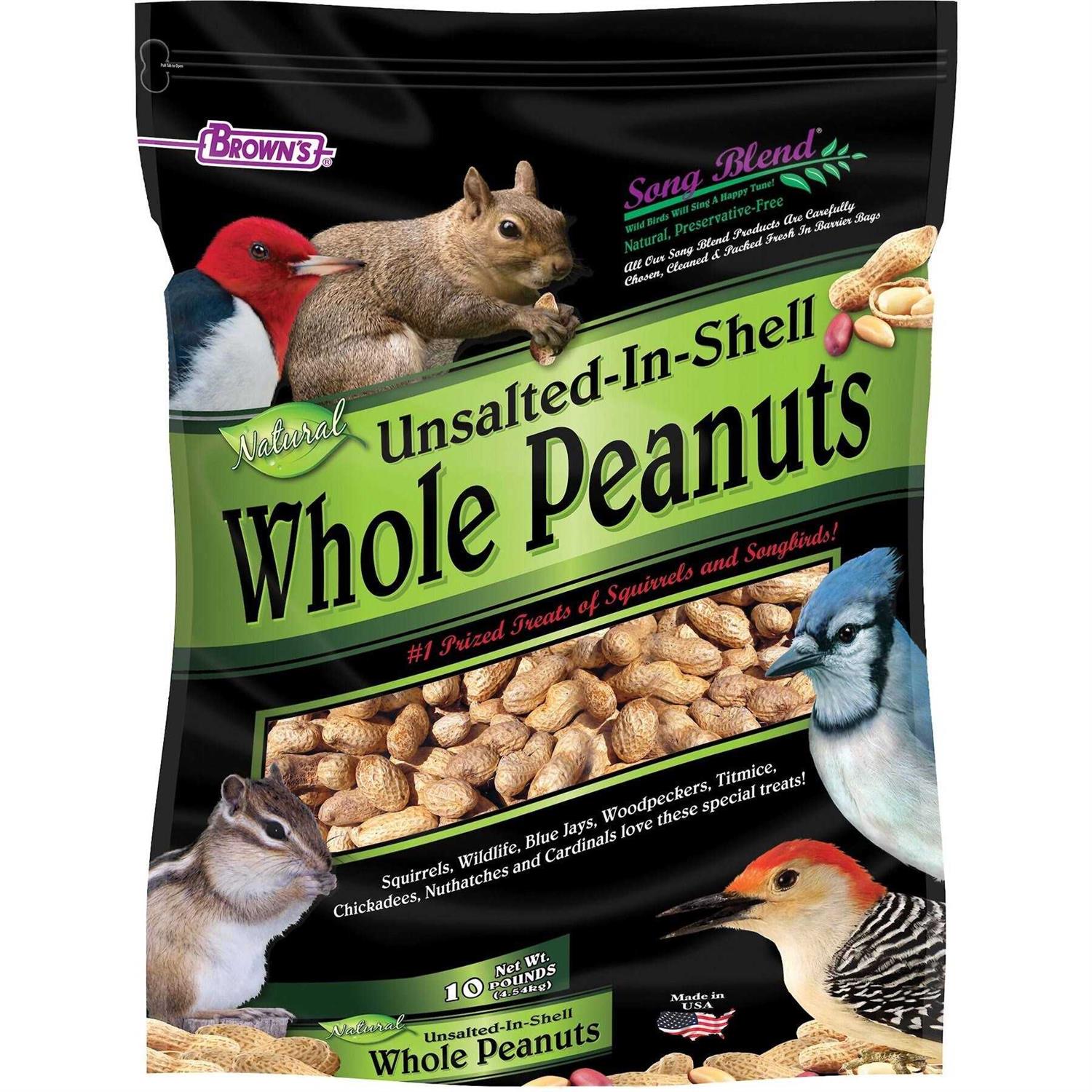 Song Blend Unsalted In-Shell Whole Peanuts Bird Food