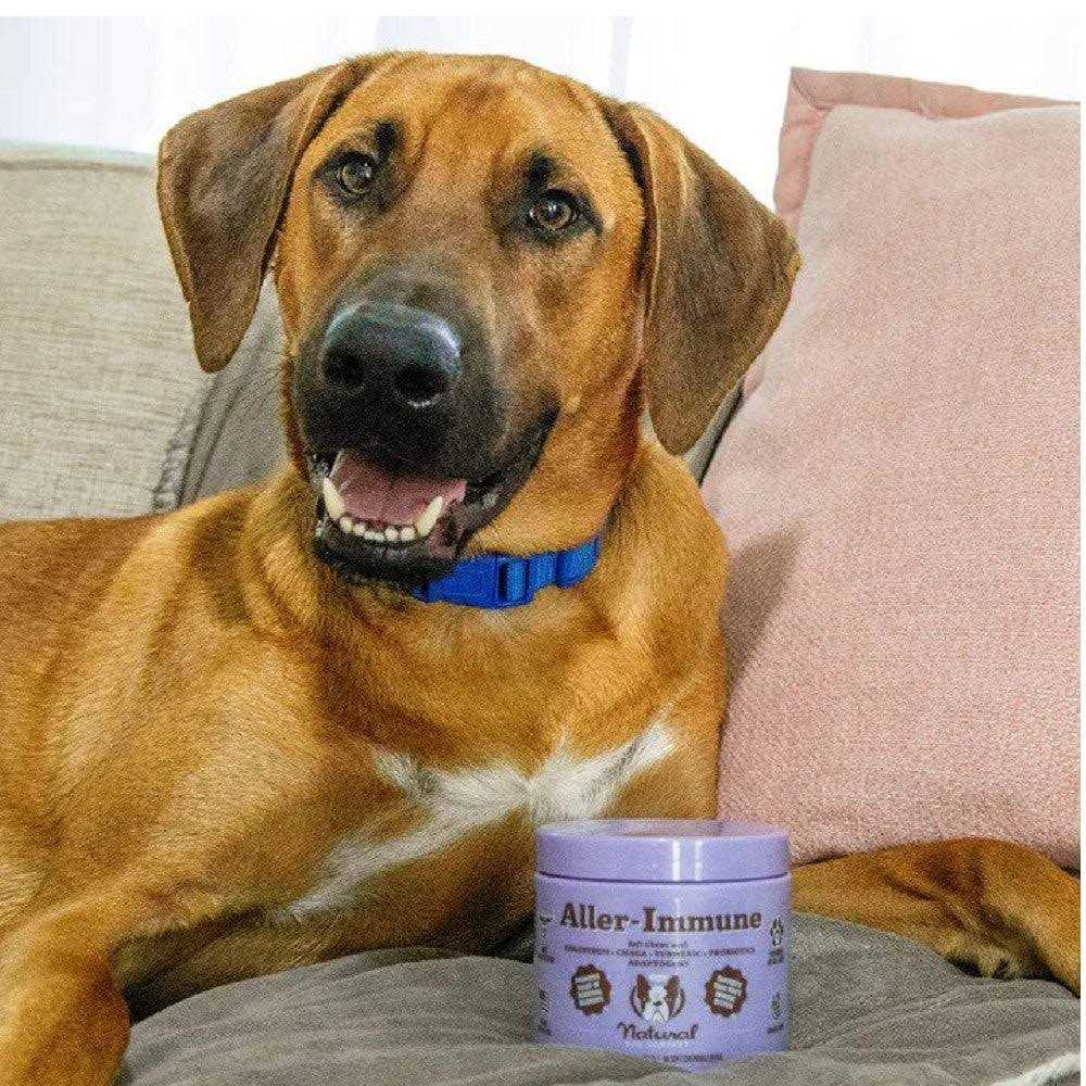 Natural Dog Company Aller-Immune Chews