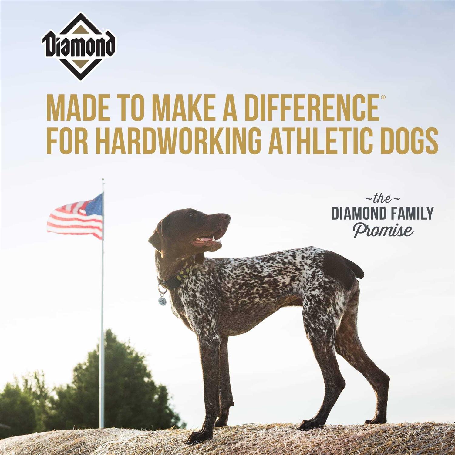 Diamond Performance Dry Dog Food