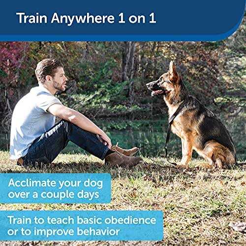 PetSafe Collarless Ultrasonic Remote Dog Trainer
