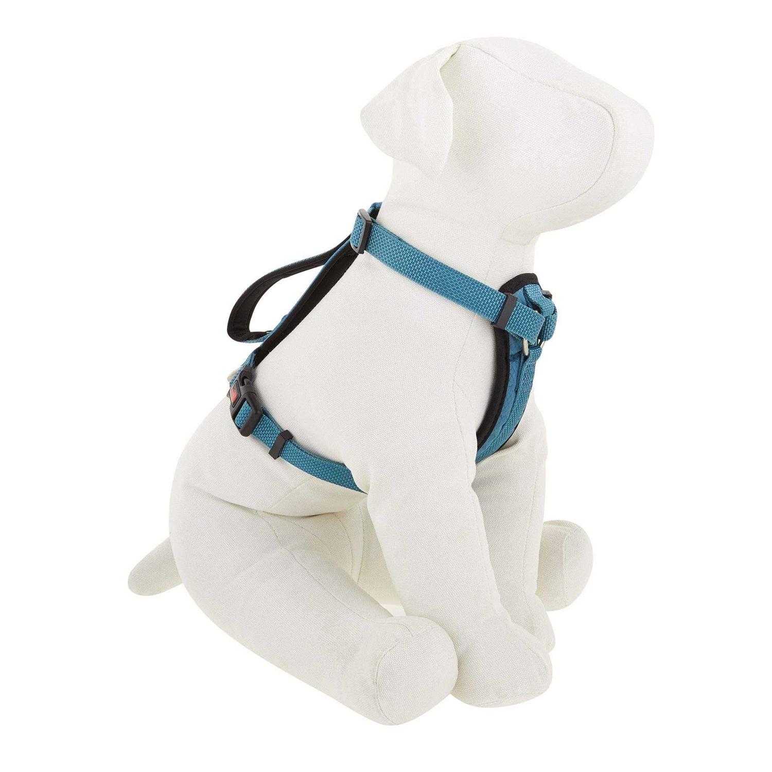 Kong Comfort Padded Chest Plate Dog Harness
