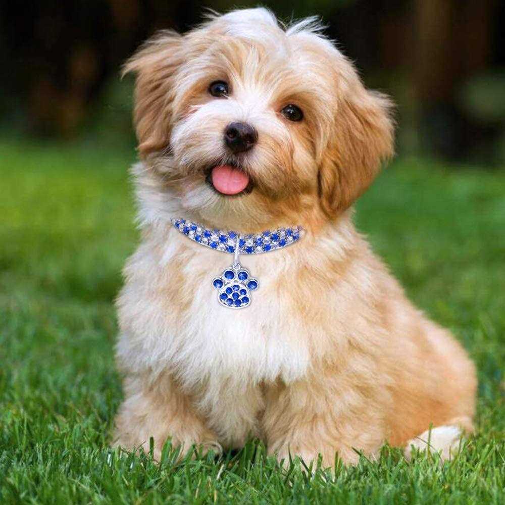 RayMinsino Pet Collar with Diamonds, Adjustable Crystal Diamond Elastic Heart Claw Pendant Wedding cat and Dog Small Pet Necklace Jewelry