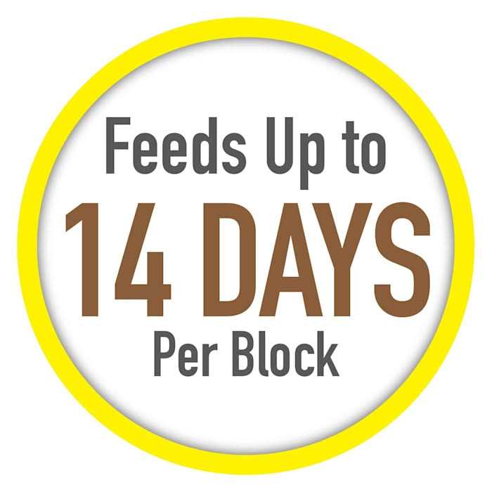 Tetra Vacation Tropical Slow Release Feeder