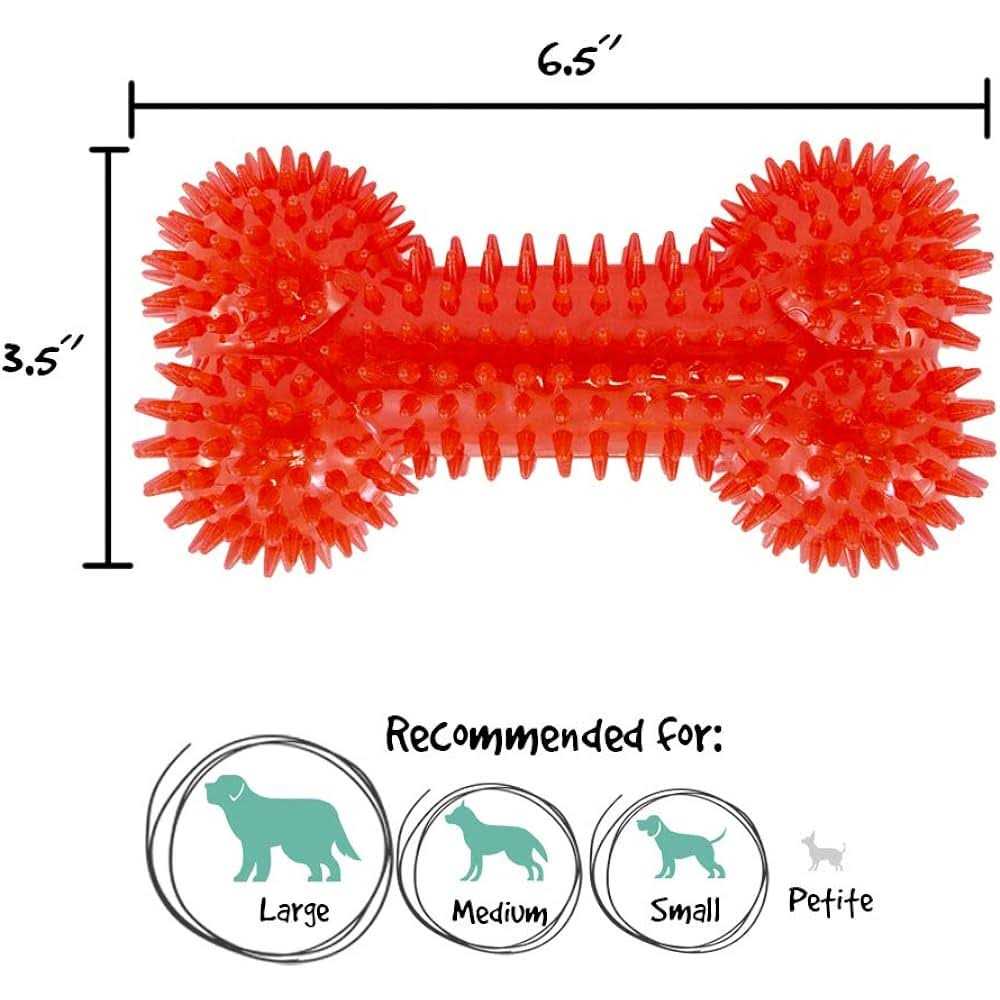 Gnawsome Squeaker Bone Dog Toy