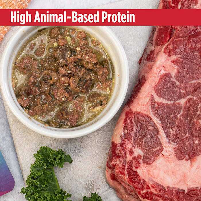 Nulo MedalSeries Limited Ingredient Broth Wet Dog Food