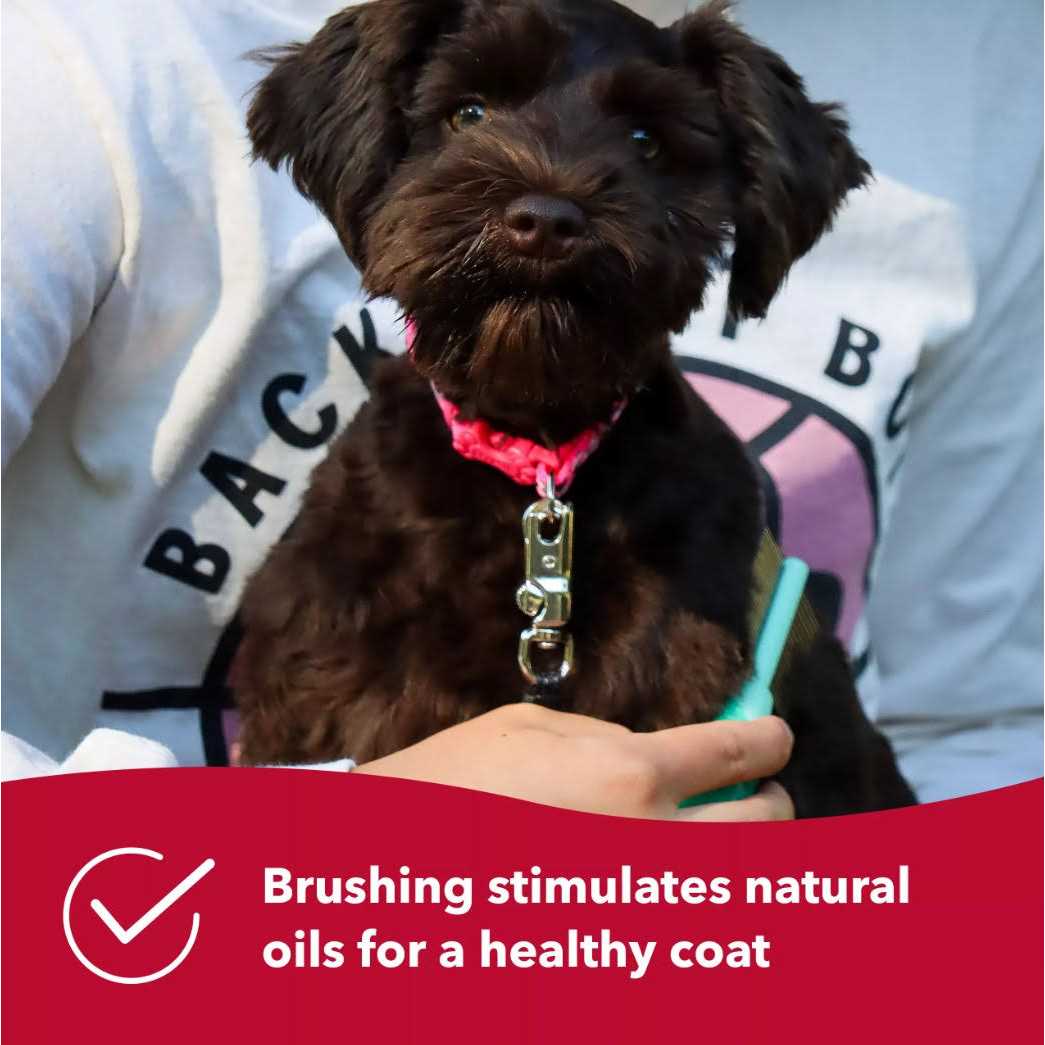 Li l Pals Double-Sided Comb